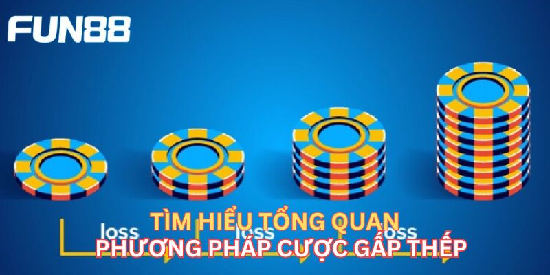 Cược Gấp Thếp - Bật Mí Bí Quyết Cược Kinh Điển Của Các Cao Thủ Tìm hiểu tổng quan phương pháp cược gấp thếp