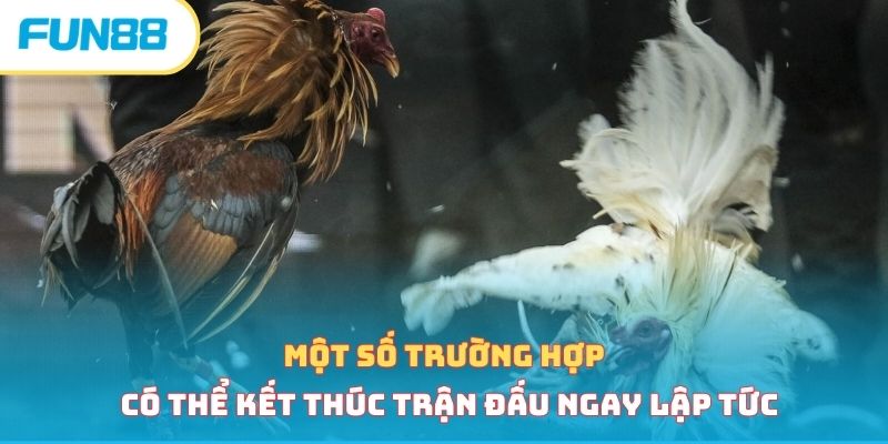 Đá Gà Cựa Dao - Loại Hình Cá Cược Hấp Dẫn Vạn Người Mê Cách xác định thắng thua trong đá gà cựa dao