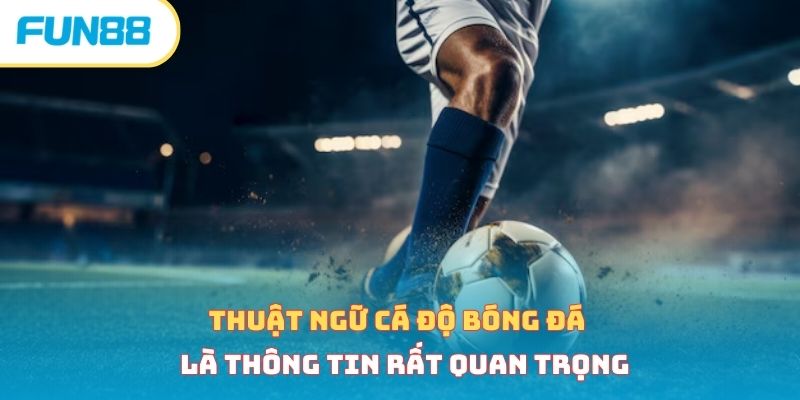 Tổng Hợp Thuật Ngữ Cá Độ Bóng Đá Phổ Biến Tân Thủ Cần Biết Thuật ngữ cá độ bóng đá