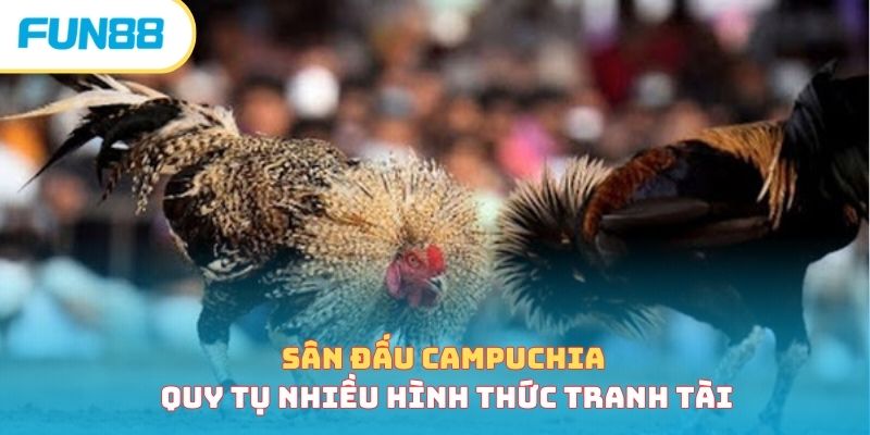 Đá Gà Campuchia - Sân Chơi Gay Cấn, Hồi Hộp Bậc Nhất Châu Á Các hình thức thi đấu trong đá gà Campuchia